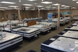 Best Mattress Store Bellevue: Sleep Better Today! | Organic & Natural Mattress Buyer’s Guide: Non-Toxic Sleep Solutions