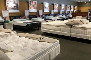 Find Your Perfect Mattress: Stores in Bend, Oregon | Organic & Natural Mattress Buyer’s Guide: Non-Toxic Sleep Solutions