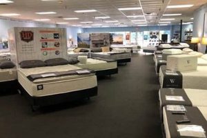 Your Guide: Best Mattress Stores in Asheville, NC Today Organic & Natural Mattress Buyer’s Guide: Non-Toxic Sleep Solutions Your Guide: Best Mattress Stores in Asheville, NC Today | Organic & Natural Mattress Buyer’s Guide: Non-Toxic Sleep Solutions