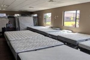 Best Mattress Stores Fargo ND: Sleep Better Tonight! Organic & Natural Mattress Buyer’s Guide: Non-Toxic Sleep Solutions Best Mattress Stores Fargo ND: Sleep Better Tonight! | Organic & Natural Mattress Buyer’s Guide: Non-Toxic Sleep Solutions