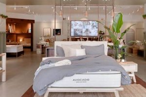 Best Mattress Store Boulder: Sleep Better Tonight! | Organic & Natural Mattress Buyer’s Guide: Non-Toxic Sleep Solutions