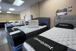 Best Mattress Store San Diego: Comfort & Value! Organic & Natural Mattress Buyer’s Guide: Non-Toxic Sleep Solutions Best Mattress Store San Diego: Comfort & Value! | Organic & Natural Mattress Buyer’s Guide: Non-Toxic Sleep Solutions