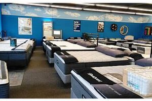 Best Mattress Stores in RI: Sleep Better Guide Organic & Natural Mattress Buyer’s Guide: Non-Toxic Sleep Solutions Best Mattress Stores in RI: Sleep Better Guide | Organic & Natural Mattress Buyer’s Guide: Non-Toxic Sleep Solutions