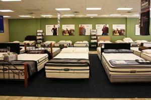Best Mattress Stores in Denton, TX: Sleep Soundly Tonight Organic & Natural Mattress Buyer’s Guide: Non-Toxic Sleep Solutions Best Mattress Stores in Denton, TX: Sleep Soundly Tonight | Organic & Natural Mattress Buyer’s Guide: Non-Toxic Sleep Solutions