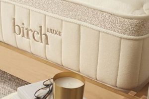 Best Birch Mattress Topper: Comfort & Support Organic & Natural Mattress Buyer’s Guide: Non-Toxic Sleep Solutions Best Birch Mattress Topper: Comfort & Support | Organic & Natural Mattress Buyer’s Guide: Non-Toxic Sleep Solutions