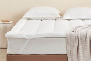 Best Deals: 2 Mattress Topper Queen Size Comfort Organic & Natural Mattress Buyer’s Guide: Non-Toxic Sleep Solutions Best Deals: 2 Mattress Topper Queen Size Comfort | Organic & Natural Mattress Buyer’s Guide: Non-Toxic Sleep Solutions