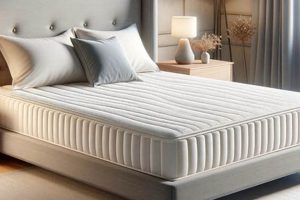 Best Mattress Toppers: Make Your Bed Firmer [Guide] | Organic & Natural Mattress Buyer’s Guide: Non-Toxic Sleep Solutions