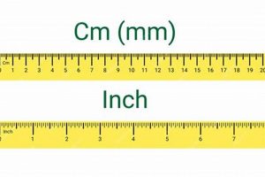 King Size Mattress Dimensions CM: The Complete Guide! Organic & Natural Mattress Buyer’s Guide: Non-Toxic Sleep Solutions King Size Mattress Dimensions CM: The Complete Guide! | Organic & Natural Mattress Buyer’s Guide: Non-Toxic Sleep Solutions