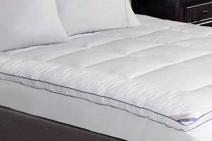 Best Mattress Topper at Kohl's: Comfort & Value Organic & Natural Mattress Buyer’s Guide: Non-Toxic Sleep Solutions Best Mattress Topper at Kohl's: Comfort & Value | Organic & Natural Mattress Buyer’s Guide: Non-Toxic Sleep Solutions