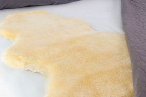 Luxury Sheepskin Mattress Topper: Sleep Better! Organic & Natural Mattress Buyer’s Guide: Non-Toxic Sleep Solutions Luxury Sheepskin Mattress Topper: Sleep Better! | Organic & Natural Mattress Buyer’s Guide: Non-Toxic Sleep Solutions