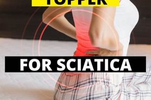 Best Mattress Topper for Sciatica: Sleep Pain-Free! Organic & Natural Mattress Buyer’s Guide: Non-Toxic Sleep Solutions Best Mattress Topper for Sciatica: Sleep Pain-Free! | Organic & Natural Mattress Buyer’s Guide: Non-Toxic Sleep Solutions