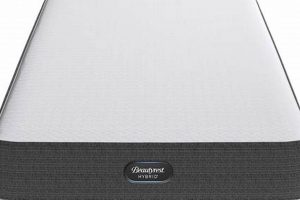 Beautyrest Queen Mattress Dimensions: The Size Guide You Need Organic & Natural Mattress Buyer’s Guide: Non-Toxic Sleep Solutions Beautyrest Queen Mattress Dimensions: The Size Guide You Need | Organic & Natural Mattress Buyer’s Guide: Non-Toxic Sleep Solutions