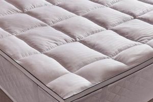 Best Hotel Mattress Topper: Comfort Topper Guide Organic & Natural Mattress Buyer’s Guide: Non-Toxic Sleep Solutions Best Hotel Mattress Topper: Comfort Topper Guide | Organic & Natural Mattress Buyer’s Guide: Non-Toxic Sleep Solutions