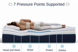 Top Dosaze Mattress Topper: Comfort & Value [Year] | Organic & Natural Mattress Buyer’s Guide: Non-Toxic Sleep Solutions