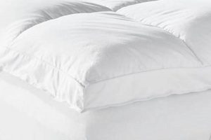 Best Casaluna Ultra Loft Mattress Topper: Sleep Soundly | Organic & Natural Mattress Buyer’s Guide: Non-Toxic Sleep Solutions