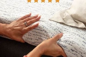 Shop Best Viscosoft Select High Density Mattress Topper Now Organic & Natural Mattress Buyer’s Guide: Non-Toxic Sleep Solutions Shop Best Viscosoft Select High Density Mattress Topper Now | Organic & Natural Mattress Buyer’s Guide: Non-Toxic Sleep Solutions