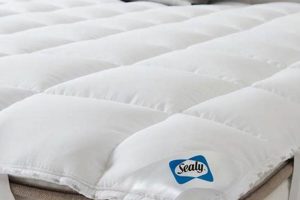 Best Sealy Mattress Topper: Sleep Better Tonight! | Organic & Natural Mattress Buyer’s Guide: Non-Toxic Sleep Solutions