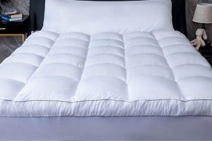 Shop Best Plush Pillow Top Mattress Topper For Comfy Sleep Organic & Natural Mattress Buyer’s Guide: Non-Toxic Sleep Solutions Shop Best Plush Pillow Top Mattress Topper For Comfy Sleep | Organic & Natural Mattress Buyer’s Guide: Non-Toxic Sleep Solutions