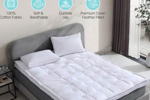 Shop Martha Stewart Mattress Topper: Comfort & Support | Organic & Natural Mattress Buyer’s Guide: Non-Toxic Sleep Solutions