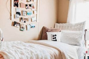 Best Dorm Room Mattress Toppers: Comfort & Support! Organic & Natural Mattress Buyer’s Guide: Non-Toxic Sleep Solutions Best Dorm Room Mattress Toppers: Comfort & Support! | Organic & Natural Mattress Buyer’s Guide: Non-Toxic Sleep Solutions