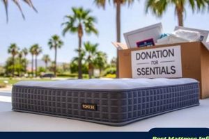 Donate Mattress Topper Santa Barbara: Help &amp; Comfort! | Organic & Natural Mattress Buyer’s Guide: Non-Toxic Sleep Solutions