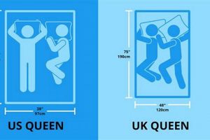Queen Mattress Dimensions Uk Organic & Natural Mattress Buyer’s Guide: Non-Toxic Sleep Solutions Queen Mattress Dimensions Uk | Organic & Natural Mattress Buyer’s Guide: Non-Toxic Sleep Solutions