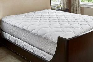 Best Marriott Hotel Mattress Topper: Sleep Like You're On Vacation | Organic & Natural Mattress Buyer’s Guide: Non-Toxic Sleep Solutions
