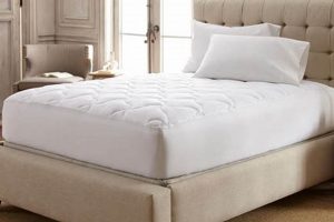 Best Stearns & Foster Mattress Topper: Reviews & Guide | Organic & Natural Mattress Buyer’s Guide: Non-Toxic Sleep Solutions