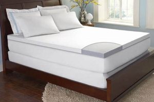 Best Mattress Topper at Sam's Club [Guide] | Organic & Natural Mattress Buyer’s Guide: Non-Toxic Sleep Solutions