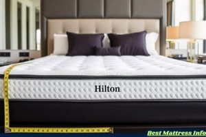 Hilton Mattress Dimensions And Weight Organic & Natural Mattress Buyer’s Guide: Non-Toxic Sleep Solutions Hilton Mattress Dimensions And Weight | Organic & Natural Mattress Buyer’s Guide: Non-Toxic Sleep Solutions