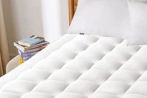 Best Dorm Mattress Topper: Comfort & Protection Tips | Organic & Natural Mattress Buyer’s Guide: Non-Toxic Sleep Solutions