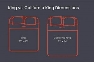 California King Mattress Dimensions: Size Guide, Explained Organic & Natural Mattress Buyer’s Guide: Non-Toxic Sleep Solutions California King Mattress Dimensions: Size Guide, Explained | Organic & Natural Mattress Buyer’s Guide: Non-Toxic Sleep Solutions