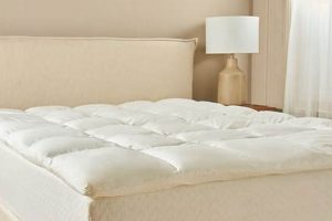 Shop Quince Mattress Toppers: Find Your Perfect Comfort! | Organic & Natural Mattress Buyer’s Guide: Non-Toxic Sleep Solutions