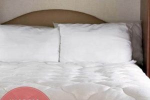 Best RV King Size Mattress Topper: Comfort & Support Organic & Natural Mattress Buyer’s Guide: Non-Toxic Sleep Solutions Best RV King Size Mattress Topper: Comfort & Support | Organic & Natural Mattress Buyer’s Guide: Non-Toxic Sleep Solutions