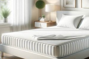 Mattress Topper Up? Which Way Does a Mattress Topper Go Right? Organic & Natural Mattress Buyer’s Guide: Non-Toxic Sleep Solutions Mattress Topper Up? Which Way Does a Mattress Topper Go Right? | Organic & Natural Mattress Buyer’s Guide: Non-Toxic Sleep Solutions
