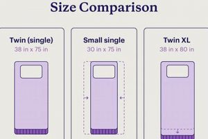 Twin Size Mattress Dimensions in cm: A Complete Guide! | Organic & Natural Mattress Buyer’s Guide: Non-Toxic Sleep Solutions