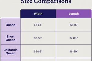 Queen Size Bed Frame Dimensions: A Buyer's Guide & More Organic & Natural Mattress Buyer’s Guide: Non-Toxic Sleep Solutions Queen Size Bed Frame Dimensions: A Buyer's Guide & More | Organic & Natural Mattress Buyer’s Guide: Non-Toxic Sleep Solutions