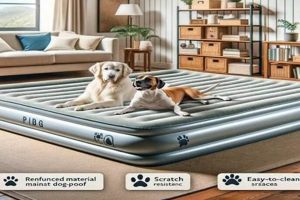 Best Dog Proof Air Mattress: Durable Inflatables Tested! Organic & Natural Mattress Buyer’s Guide: Non-Toxic Sleep Solutions Best Dog Proof Air Mattress: Durable Inflatables Tested! | Organic & Natural Mattress Buyer’s Guide: Non-Toxic Sleep Solutions