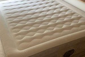 Best Meijer Air Mattress? Find the Perfect Inflatable! Organic & Natural Mattress Buyer’s Guide: Non-Toxic Sleep Solutions Best Meijer Air Mattress? Find the Perfect Inflatable! | Organic & Natural Mattress Buyer’s Guide: Non-Toxic Sleep Solutions