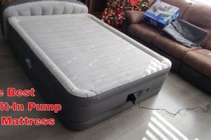 Get the Most from Your Alwayzaire Air Mattress: Instructions & Tips Organic & Natural Mattress Buyer’s Guide: Non-Toxic Sleep Solutions Get the Most from Your Alwayzaire Air Mattress: Instructions & Tips | Organic & Natural Mattress Buyer’s Guide: Non-Toxic Sleep Solutions