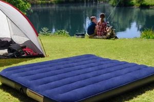 Best Intex Air Mattresses: Sleep Soundly on Air Organic & Natural Mattress Buyer’s Guide: Non-Toxic Sleep Solutions Best Intex Air Mattresses: Sleep Soundly on Air | Organic & Natural Mattress Buyer’s Guide: Non-Toxic Sleep Solutions