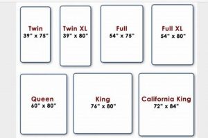 Twin Mattress Dimensions Guide: Standard Size Details | Organic & Natural Mattress Buyer’s Guide: Non-Toxic Sleep Solutions