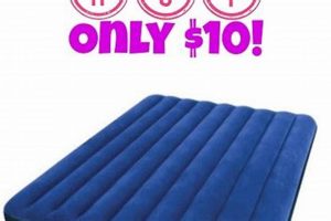 Best Air Mattress Family Dollar: Budget Sleep! Organic & Natural Mattress Buyer’s Guide: Non-Toxic Sleep Solutions Best Air Mattress Family Dollar: Budget Sleep! | Organic & Natural Mattress Buyer’s Guide: Non-Toxic Sleep Solutions