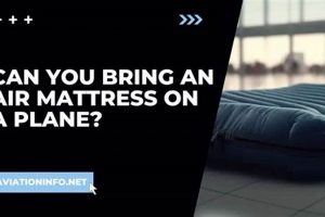 Air Travel: Can You Take an Air Mattress On a Plane? Tips & Rules Organic & Natural Mattress Buyer’s Guide: Non-Toxic Sleep Solutions Air Travel: Can You Take an Air Mattress On a Plane? Tips & Rules | Organic & Natural Mattress Buyer’s Guide: Non-Toxic Sleep Solutions