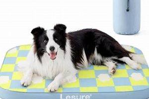 Best Self-Inflating Dog Air Mattress: Travel & Home Comfort Organic & Natural Mattress Buyer’s Guide: Non-Toxic Sleep Solutions Best Self-Inflating Dog Air Mattress: Travel & Home Comfort | Organic & Natural Mattress Buyer’s Guide: Non-Toxic Sleep Solutions