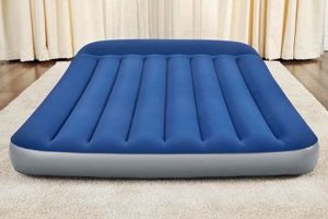 Best Air Mattress Big 5 of 2024: Review &amp; Guide | Organic & Natural Mattress Buyer’s Guide: Non-Toxic Sleep Solutions