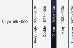 Sealy Queen Mattress Dimensions: Size & Guide | Organic & Natural Mattress Buyer’s Guide: Non-Toxic Sleep Solutions