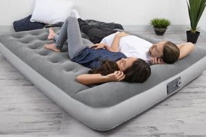 Buy Bestway Air Mattress Pump: Fast & Easy Air! | Organic & Natural Mattress Buyer’s Guide: Non-Toxic Sleep Solutions