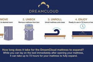 Know the DreamCloud King Mattress Dimensions Size Guide Organic & Natural Mattress Buyer’s Guide: Non-Toxic Sleep Solutions Know the DreamCloud King Mattress Dimensions Size Guide | Organic & Natural Mattress Buyer’s Guide: Non-Toxic Sleep Solutions