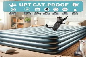 Best Cat Proof Air Mattress: Sleep Easy Tonight! | Organic & Natural Mattress Buyer’s Guide: Non-Toxic Sleep Solutions